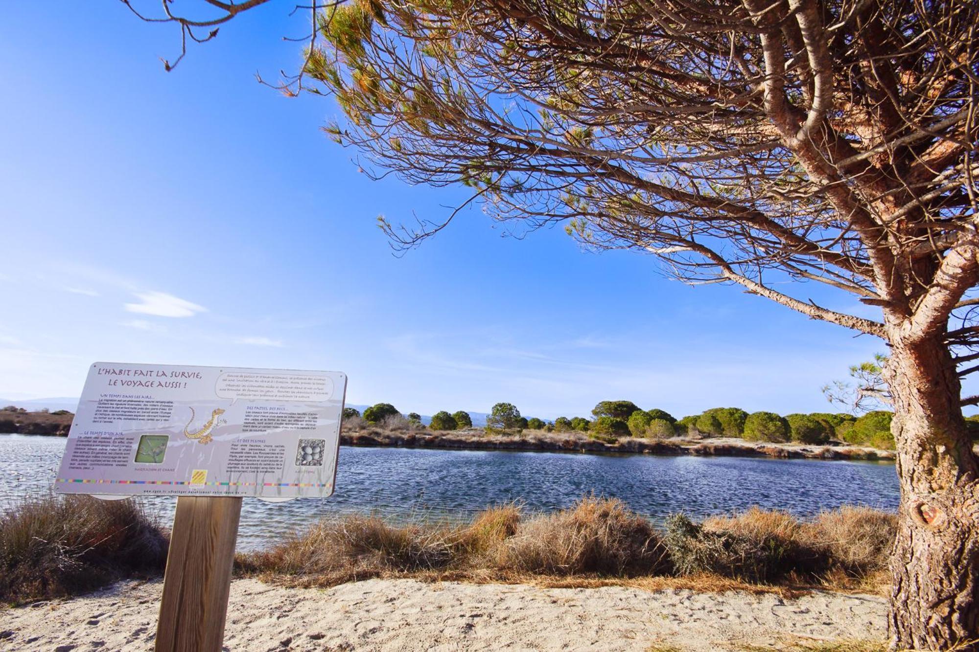 Marina, Ile Des Pecheurs - Acces Piscine Et Spa Le Barcarès المظهر الخارجي الصورة